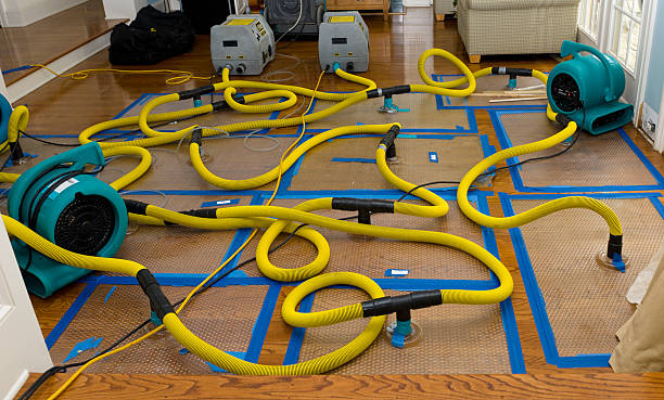 Professional Sewage Cleanup technician working in Acton, CA